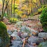 Шале Vakantiehuisje In Het Bos Дюрбюи