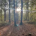 Шале Vakantiehuisje In Het Bos Дюрбюи