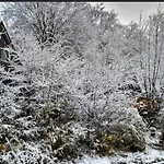 Шале Vakantiehuisje In Het Bos Дюрбюи