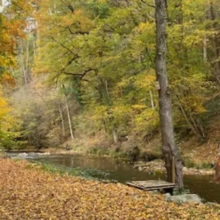 Vakantiehuisje In Het Bos Durbuy