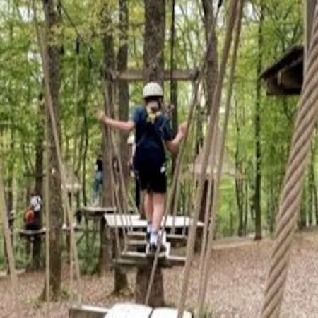 Vakantiehuisje In Het Bos