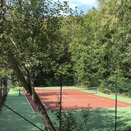 Vakantiehuisje In Het Bos