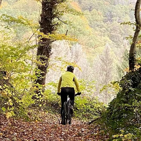 Chalet Vakantiehuisje In Het Bos