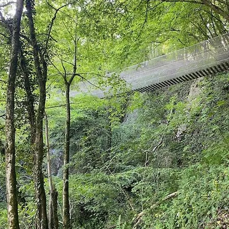 Chalet Vakantiehuisje In Het Bos *