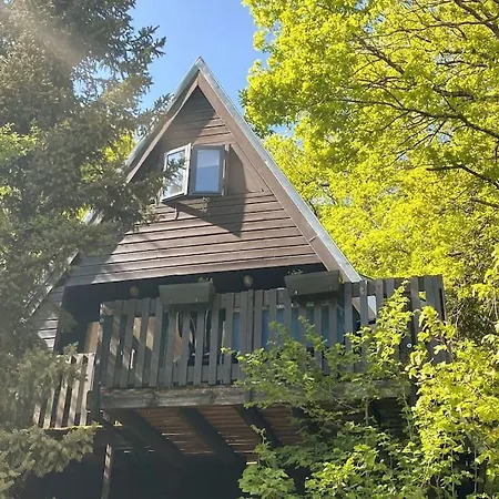 Vakantiehuisje In Het Bos