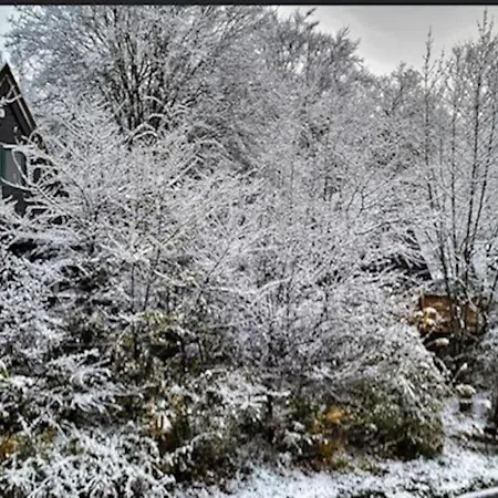 Chalet Vakantiehuisje In Het Bos Durbuy