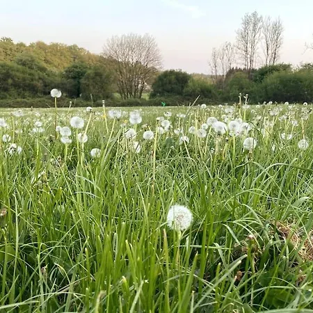 Vakantiehuisje In Het Bos Durbuy