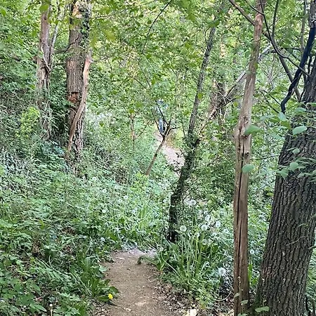 Chalet Vakantiehuisje In Het Bos Durbuy